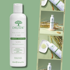 Shampoing Mélaleuque Laboratoires Druide – Le soin naturel expert du cuir chevelu