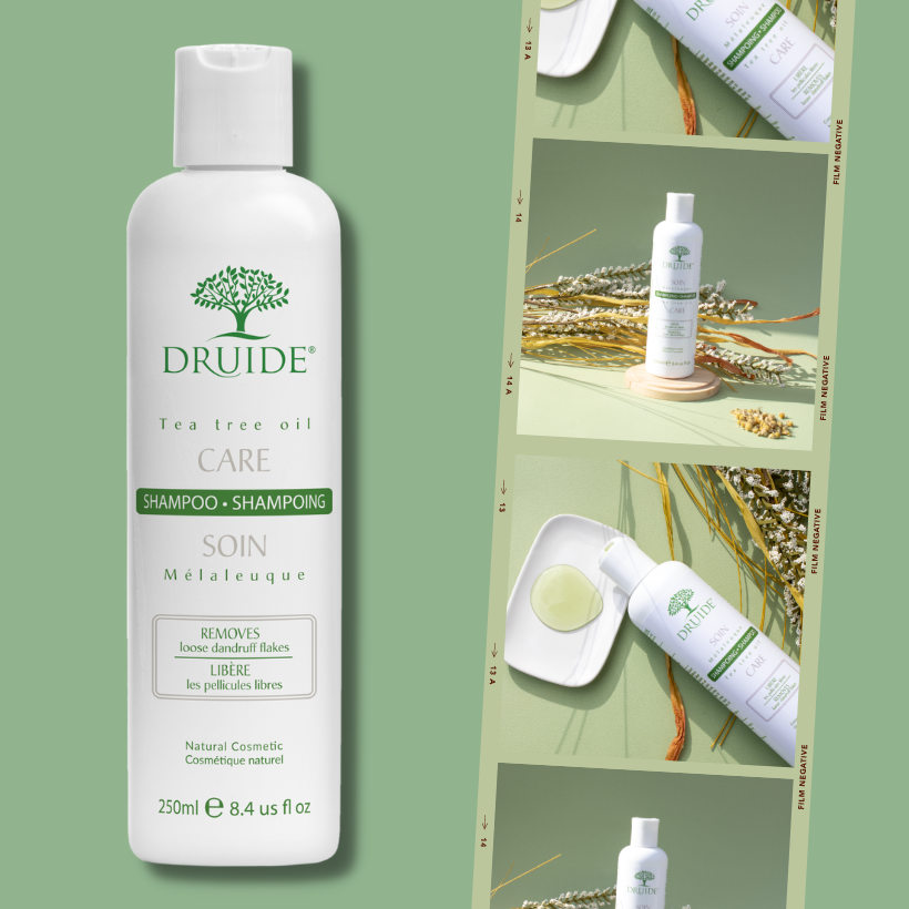 Shampoing Mélaleuque Laboratoires Druide – Le soin naturel expert du cuir chevelu