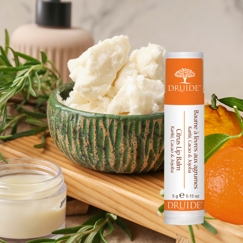 Baume lèvres bio, karité et agrumes - Laboratoires Druide