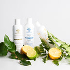 Shampoing bio - Cheveux gras - Pureté - Laboratoires Druide