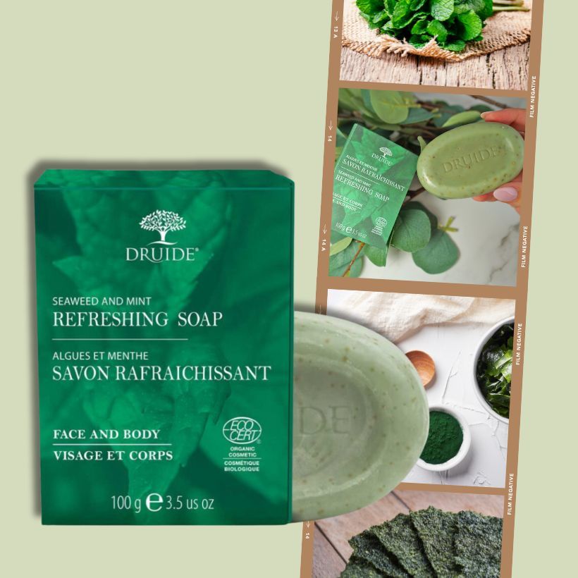 Savon solide rafraîchissant et hydratant - Laboratoires Druide