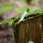 Soin après piqûres insectes naturel et bio - Druide EcoTrail