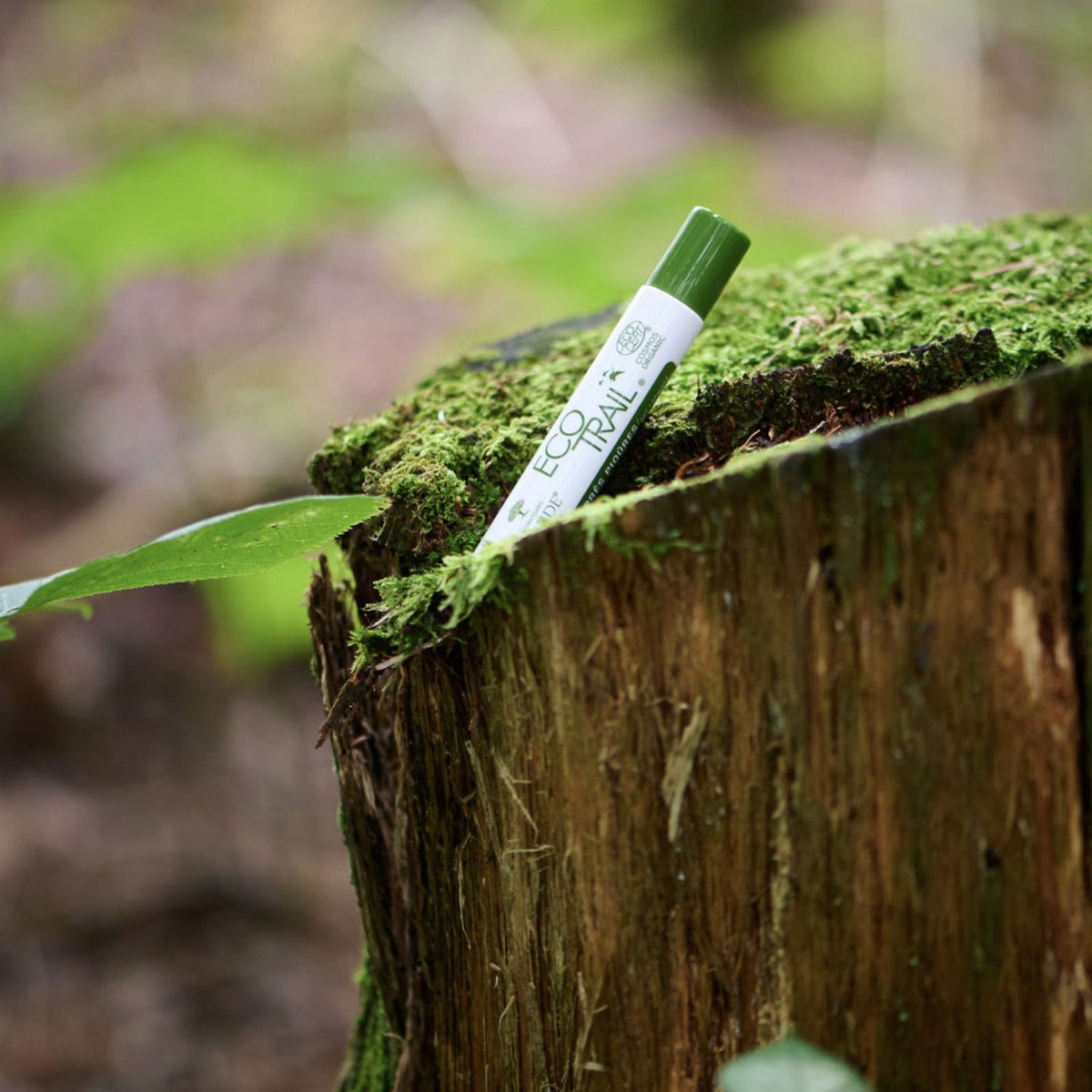 Soin après piqûres insectes naturel et bio - Druide EcoTrail